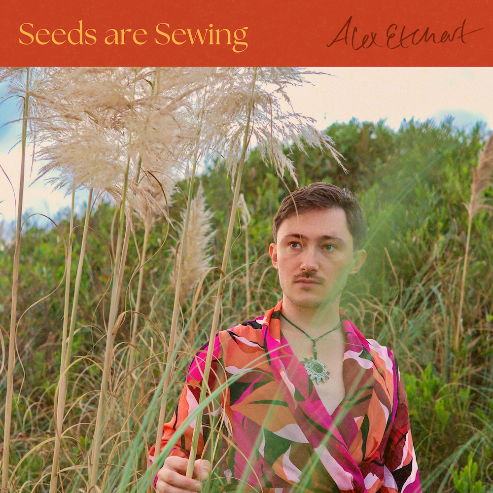 Seeds are Sewing