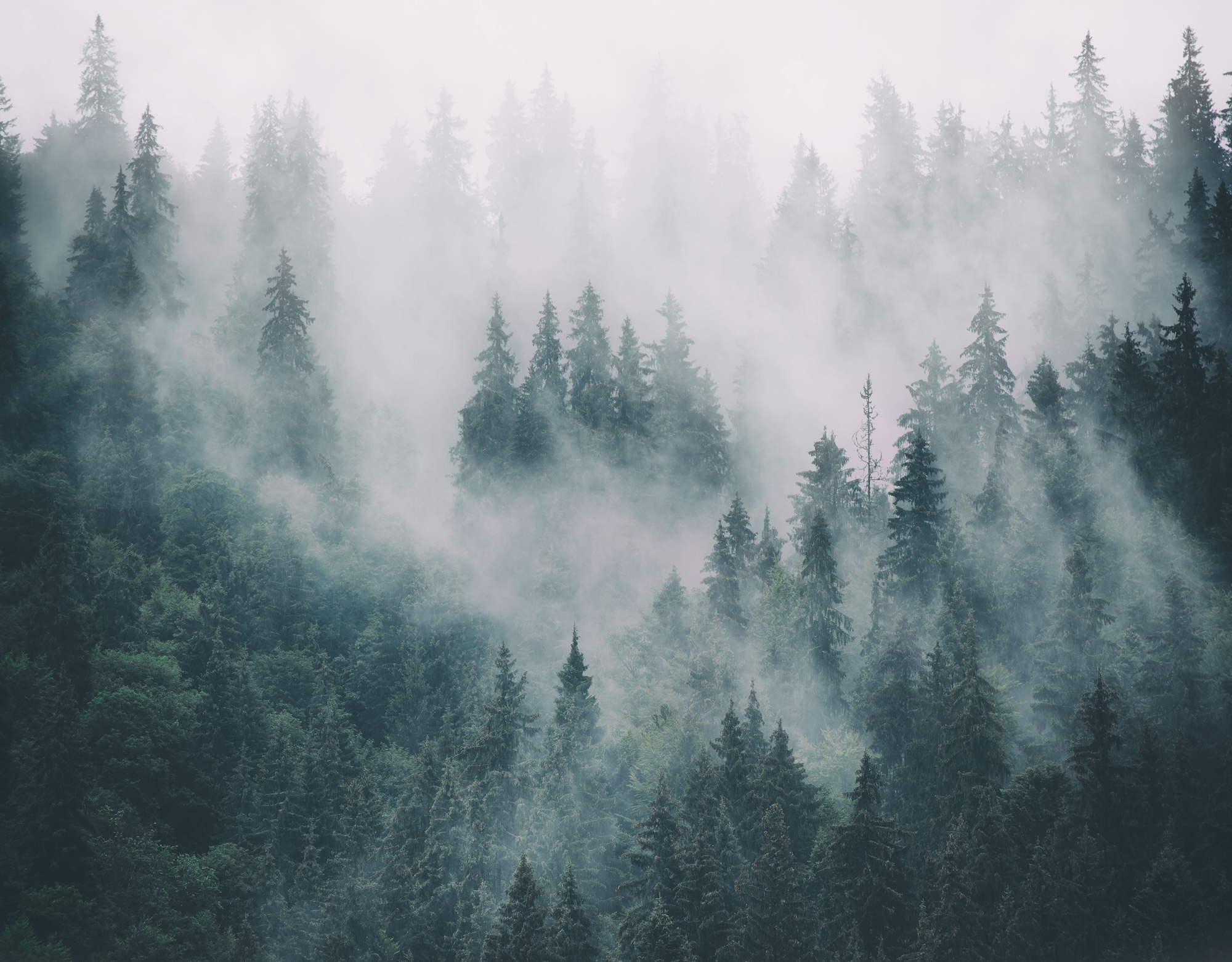 Background texture